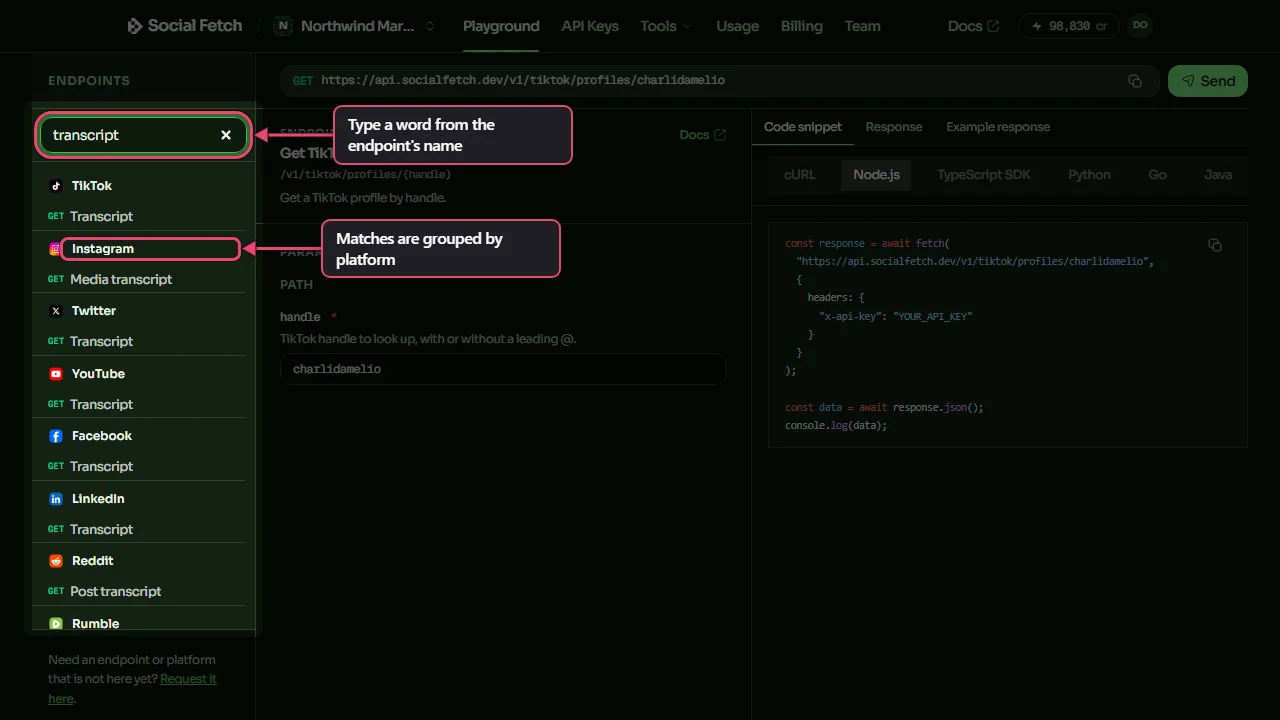 The Playground with transcript typed into Search endpoints, labelled Type a word from the name of the endpoint. The visible results are grouped under platform headings, with the platform heading Instagram labelled Matches are grouped by platform
