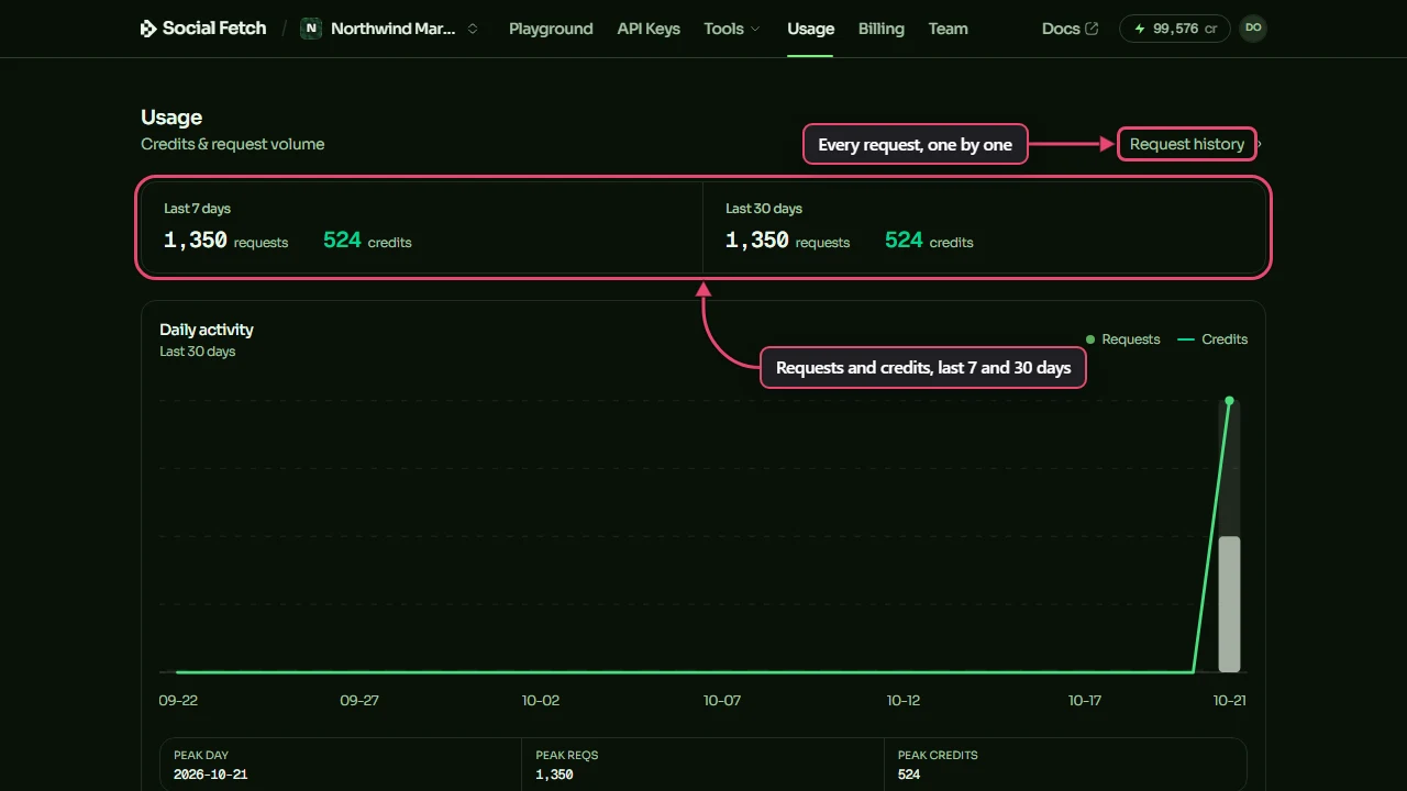 The Usage page. The Last 7 days and Last 30 days totals are labelled Requests and credits, last 7 and 30 days, and the Request history link is labelled Every request, one by one