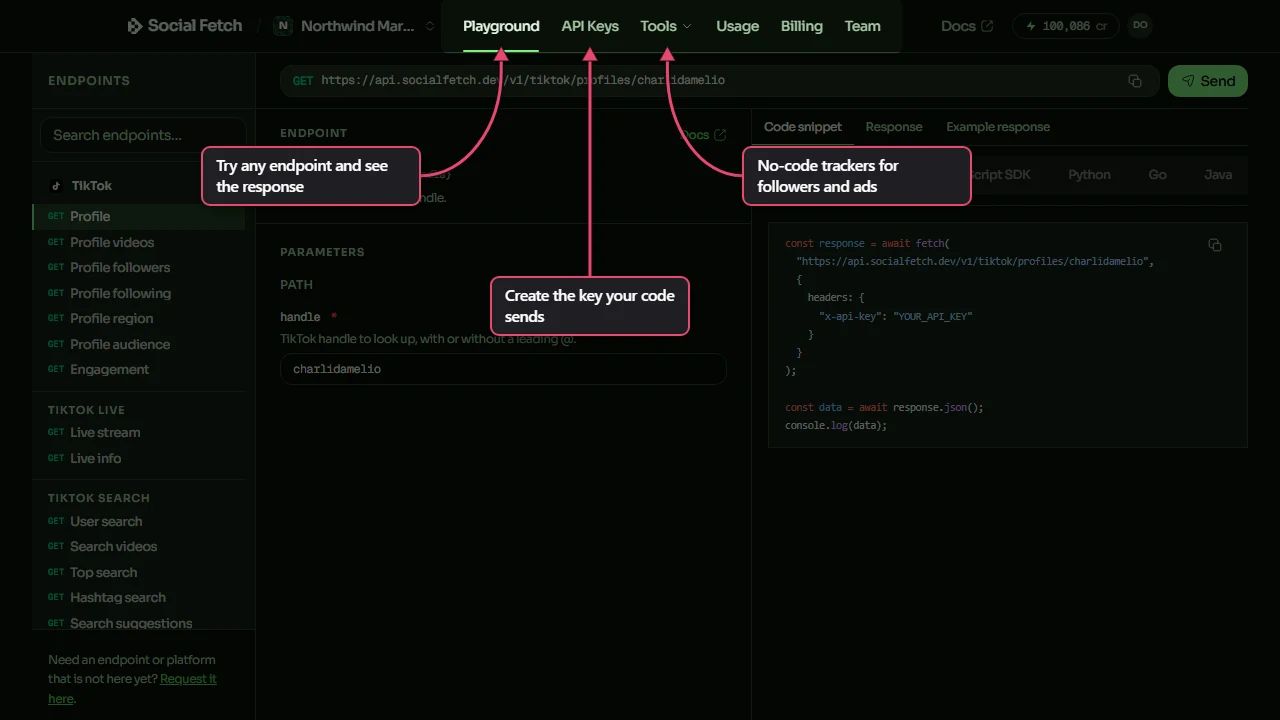 The Social Fetch app's top menu with Playground, API Keys, Tools, Usage, Billing and Team, over the Playground showing a TikTok profile request. Labels point at Playground, API Keys and Tools.
