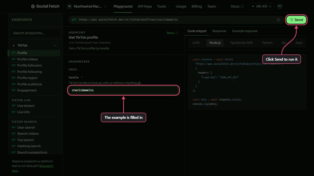 The Playground on Get TikTok profile, with the handle box showing charlidamelio labelled The example is filled in, and the Send button at the top right labelled Click Send to run it