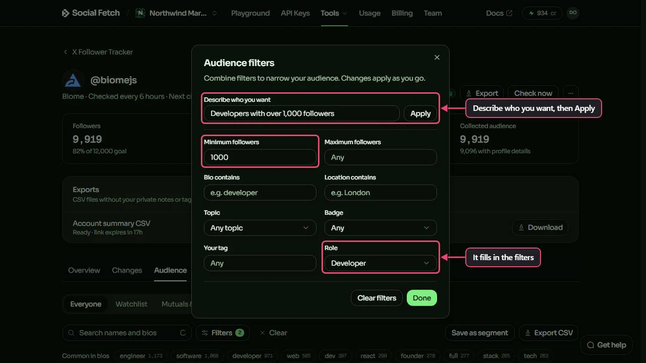 The Audience filters window: Describe who you want, filled in with Developers with over 1,000 followers and labelled Describe who you want, then Apply, and the Minimum followers of 1000 and Role of Developer it set, labelled It fills in the filters