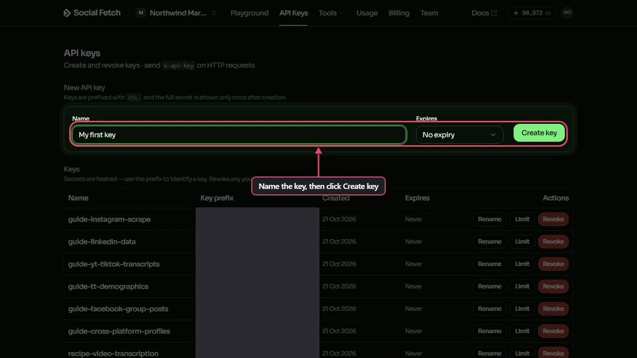 The API Keys page in the Social Fetch app. The New API key form is labelled: type a name, then click Create key.